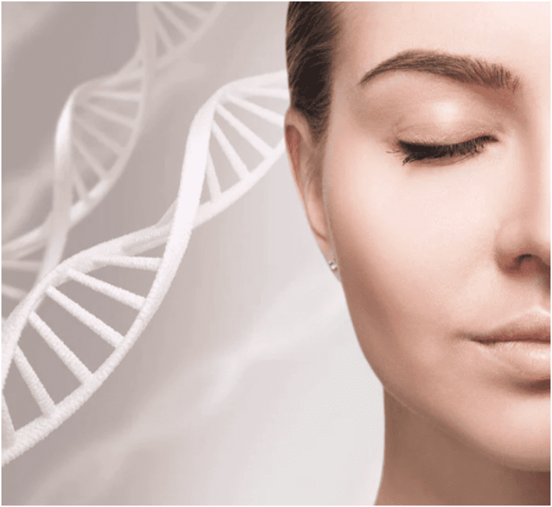 Skin Rejuvenation from Peptides